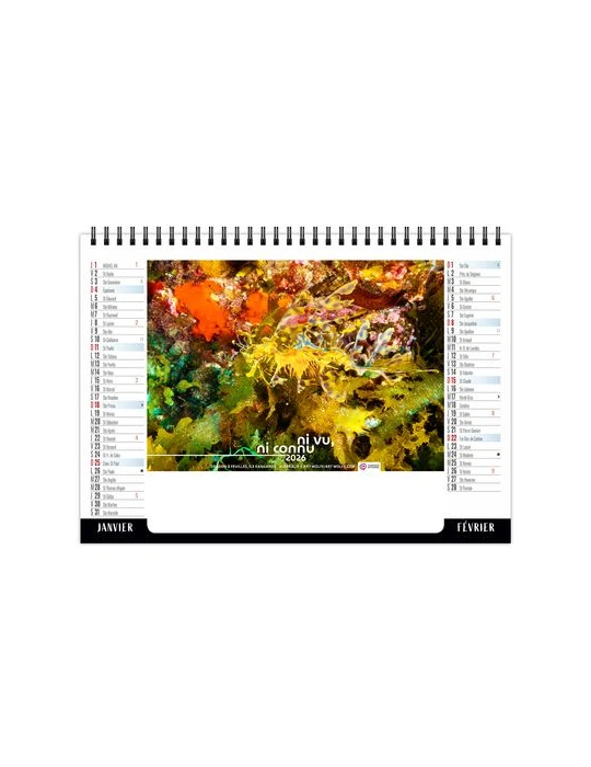 CHEVALET STANDARD 7F - CAMOUFLAGE 2026 - QUADRI personnalisable avec votre logo