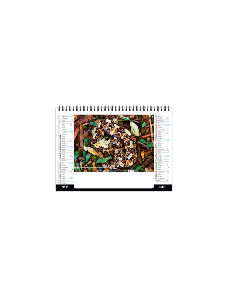 CHEVALET STANDARD 7F - CAMOUFLAGE 2026 - QUADRI cadeau entreprise pas cher