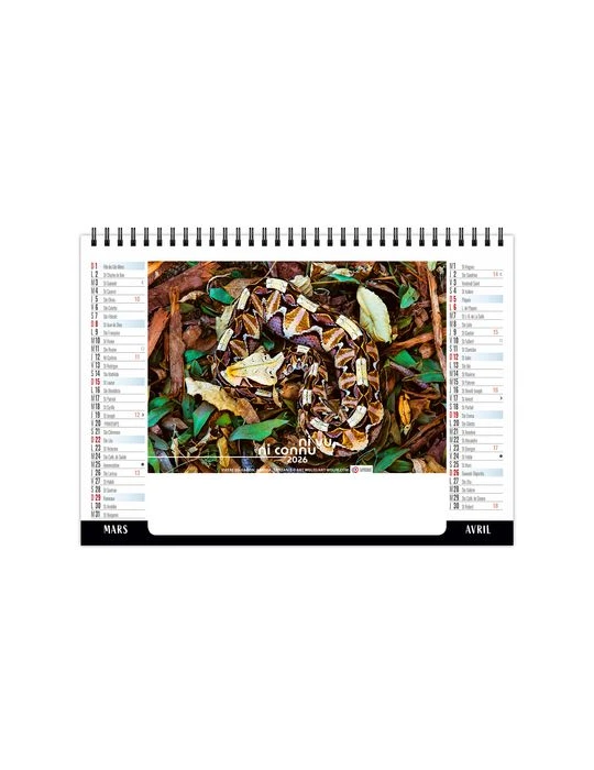 CHEVALET STANDARD 7F - CAMOUFLAGE 2026 - QUADRI cadeau entreprise pas cher