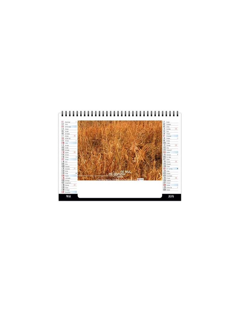 CHEVALET STANDARD 7F - CAMOUFLAGE 2026 - QUADRI goodies publicitaire événementiel