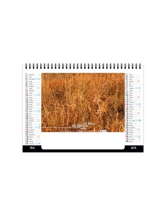 CHEVALET STANDARD 7F - CAMOUFLAGE 2026 - QUADRI goodies publicitaire événementiel