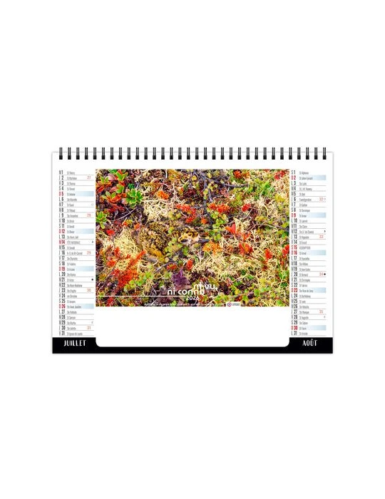 CHEVALET STANDARD 7F - CAMOUFLAGE 2026 - QUADRI impression haute définition