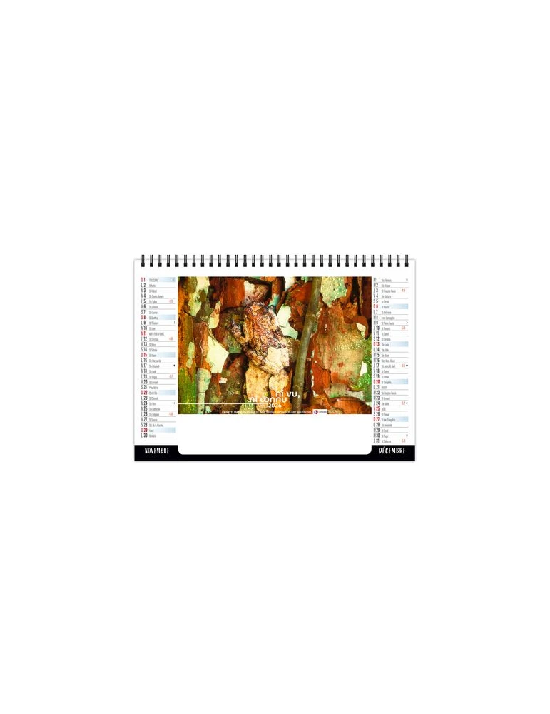 CHEVALET STANDARD 7F - CAMOUFLAGE 2026 - QUADRI livraison express 24h 48h