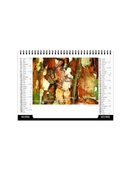 CHEVALET STANDARD 7F - CAMOUFLAGE 2026 - QUADRI livraison express 24h 48h