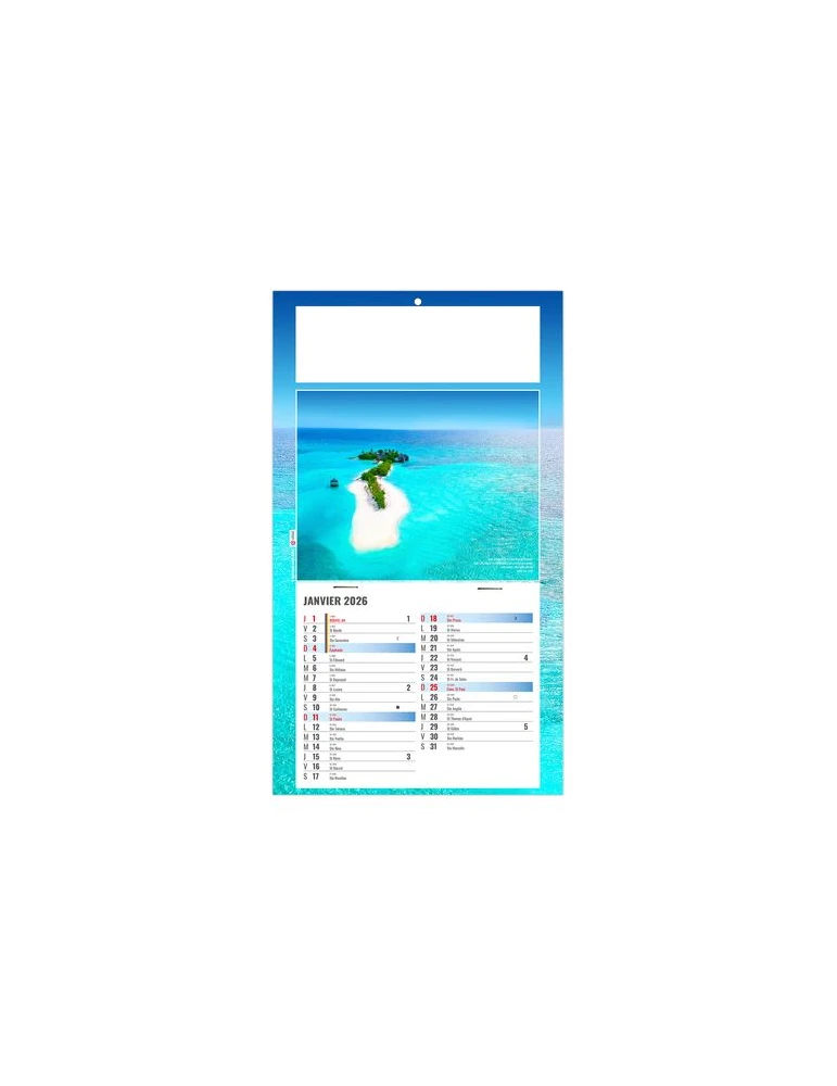 PLAQUE 1 VUE ESTEBAN 2026 - DOS CARTON - BLOC B2 - SANS MARQUAGE