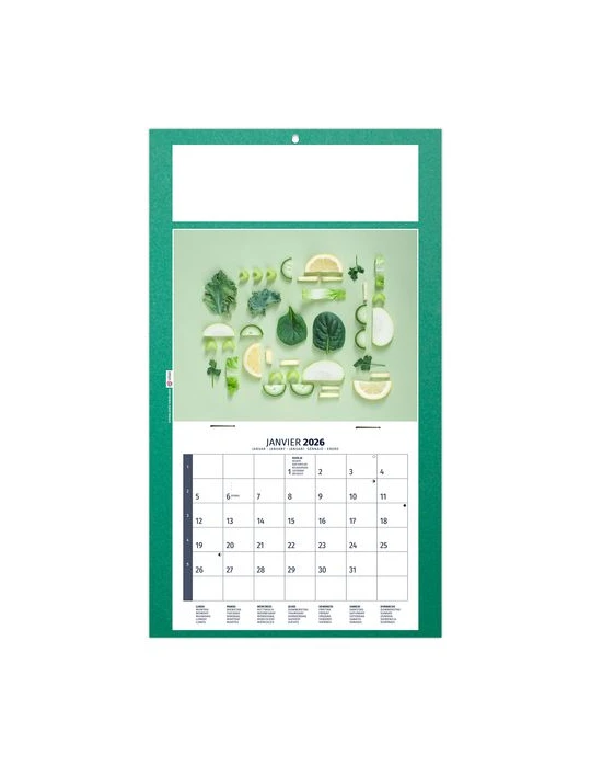 PLAQUE 1 VUE DIET 2026 - DOS CARTON - BLOC B2 - SANS MARQUAGE