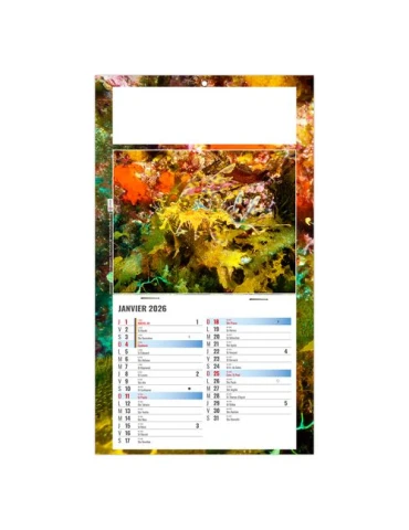 PLAQUE 1 VUE JULIETTA 2026 - DOS CARTON - EURO BLOC - SANS MARQUAGE