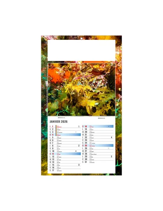 PLAQUE 1 VUE JULIETTA 2026 - DOS CARTON - EURO BLOC - SANS MARQUAGE