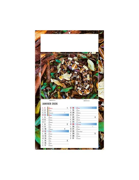 PLAQUE 1 VUE JULIETTA 2026 - DOS CARTON - EURO BLOC - SANS MARQUAGE