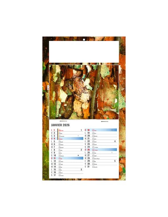 PLAQUE 1 VUE JULIETTA 2026 - DOS CARTON - EURO BLOC - SANS MARQUAGE