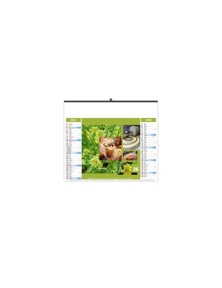 ILLUSTRE ECO - HERBES 2026 - SMALL 480 x 330 mm objet promo petit budget