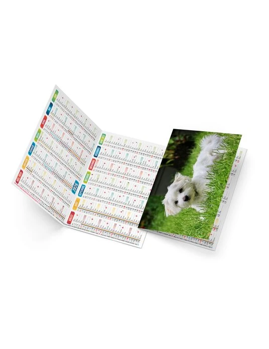 FIDELE 2026 - NEUTRE 1 POSE