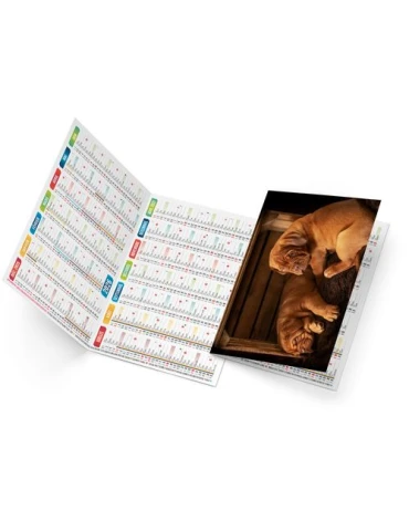 FIDELE 2026 - NEUTRE 1 POSE 2