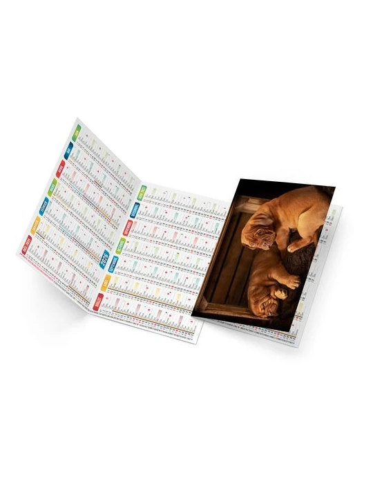 FIDELE 2026 - NEUTRE 1 POSE personnalisable avec votre logo