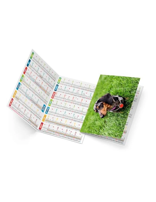 FIDELE 2026 - NEUTRE 1 POSE cadeau entreprise pas cher