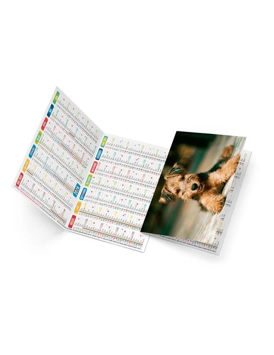 FIDELE 2026 - NEUTRE 1 POSE goodies publicitaire événementiel