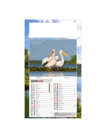 PLAQUE 1 VUE LEO 2026 - DOS CARTON - EURO BLOC - SANS MARQUAGE