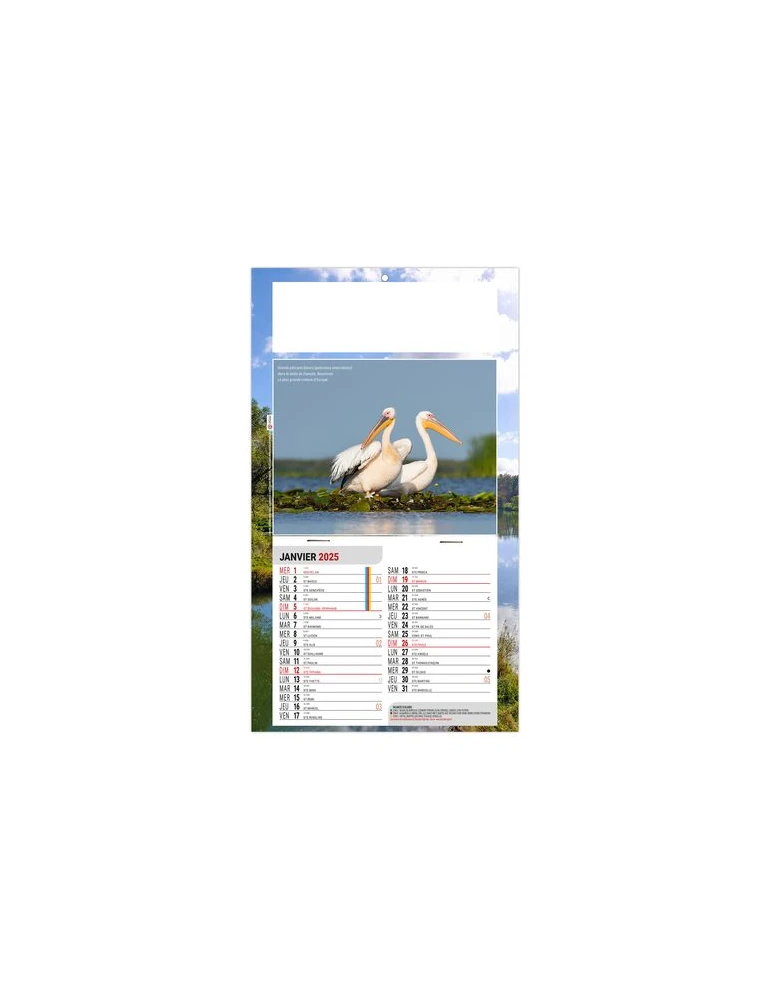 PLAQUE 1 VUE LEO 2026 - DOS CARTON - EURO BLOC - SANS MARQUAGE