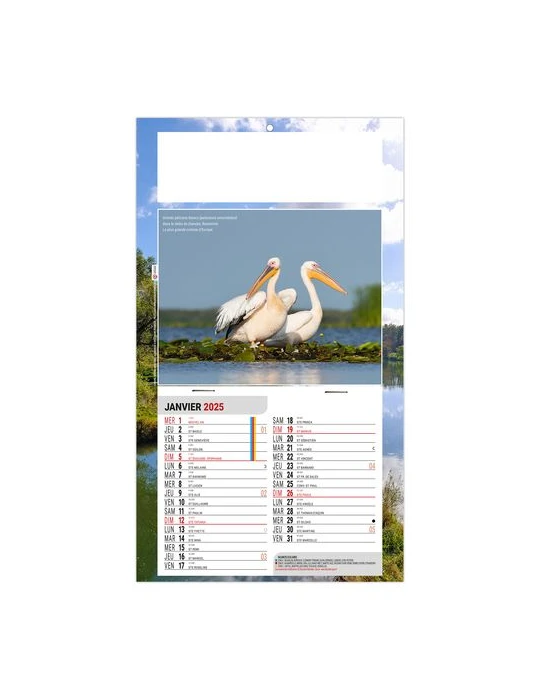 PLAQUE 1 VUE LEO 2026 - DOS CARTON - EURO BLOC - SANS MARQUAGE