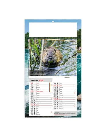 PLAQUE 1 VUE LEO 2026 - DOS CARTON - EURO BLOC - SANS MARQUAGE 2