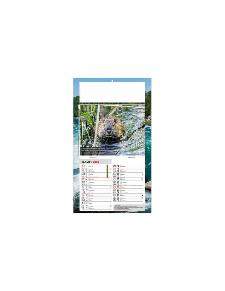 PLAQUE 1 VUE LEO 2026 - DOS CARTON - EURO BLOC - SANS MARQUAGE