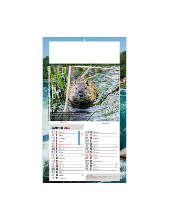 PLAQUE 1 VUE LEO 2026 - DOS CARTON - EURO BLOC - SANS MARQUAGE