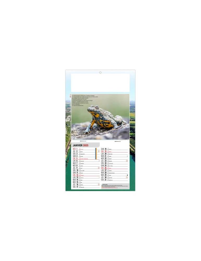 PLAQUE 1 VUE LEO 2026 - DOS CARTON - EURO BLOC - SANS MARQUAGE