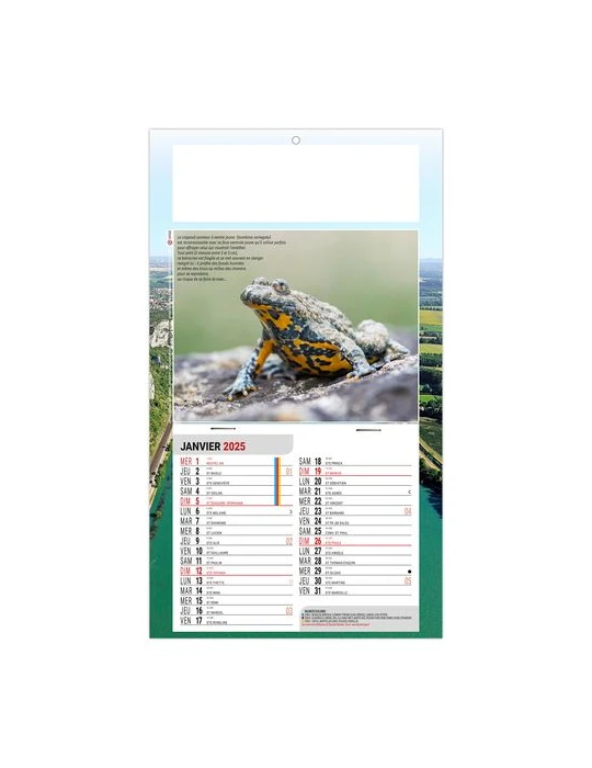 PLAQUE 1 VUE LEO 2026 - DOS CARTON - EURO BLOC - SANS MARQUAGE