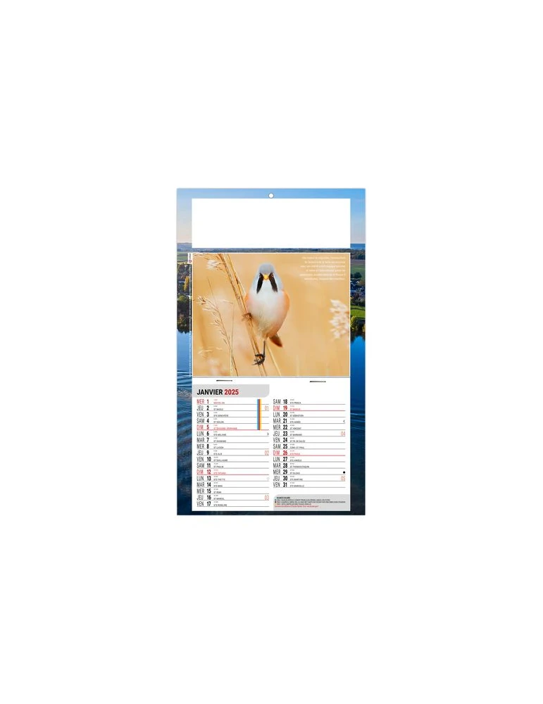 PLAQUE 1 VUE LEO 2026 - DOS CARTON - EURO BLOC - SANS MARQUAGE