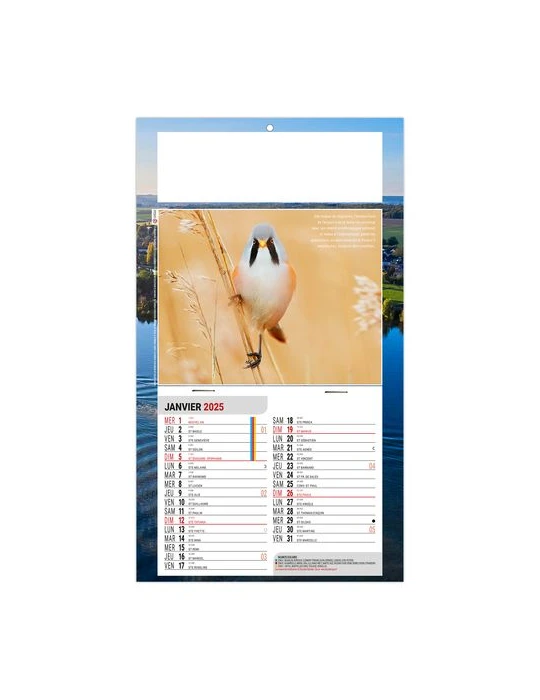 PLAQUE 1 VUE LEO 2026 - DOS CARTON - EURO BLOC - SANS MARQUAGE