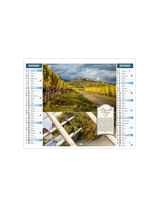 2EN1 - TERROIR 2026 - XXL 474 x 700 mm - MARQUAGE 1 COULEUR