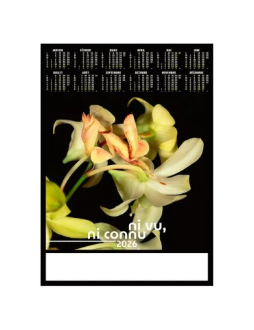 POSTER - DISSIMULE 2026 - QUADRI