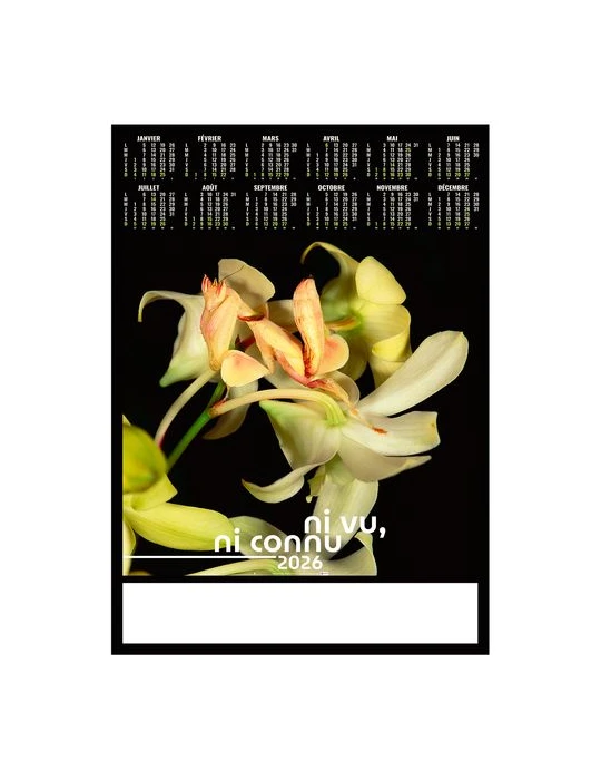 POSTER - DISSIMULE 2026 - QUADRI