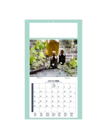 PLAQUE 1 VUE HOMEO 2026 - DOS CARTON - EURO BLOC - SANS MARQUAGE