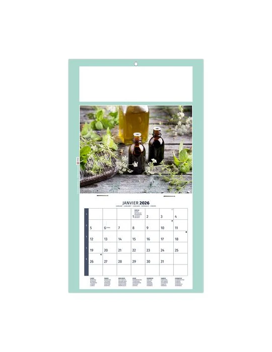 PLAQUE 1 VUE HOMEO 2026 - DOS CARTON - EURO BLOC - SANS MARQUAGE