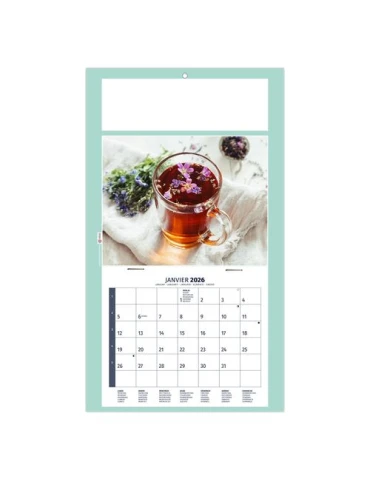 PLAQUE 1 VUE HOMEO 2026 - DOS CARTON - EURO BLOC - SANS MARQUAGE 2