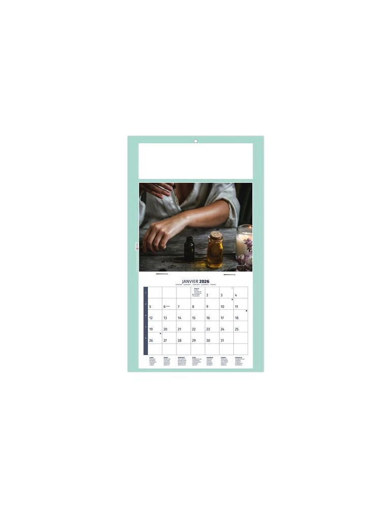 PLAQUE 1 VUE HOMEO 2026 - DOS CARTON - EURO BLOC - SANS MARQUAGE