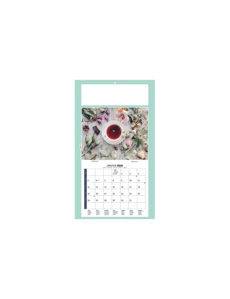 PLAQUE 1 VUE HOMEO 2026 - DOS CARTON - EURO BLOC - SANS MARQUAGE