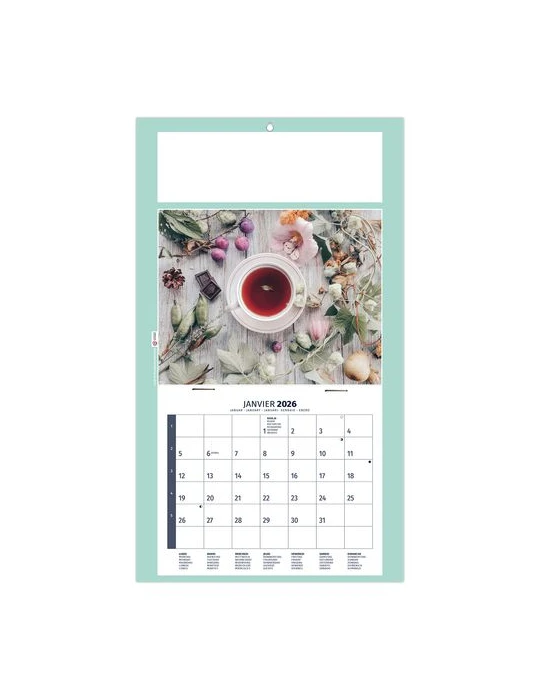 PLAQUE 1 VUE HOMEO 2026 - DOS CARTON - EURO BLOC - SANS MARQUAGE