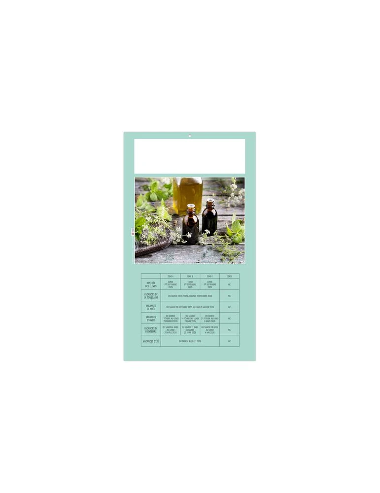 PLAQUE 1 VUE HOMEO 2026 - DOS CARTON - EURO BLOC - SANS MARQUAGE