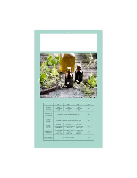 PLAQUE 1 VUE HOMEO 2026 - DOS CARTON - EURO BLOC - SANS MARQUAGE