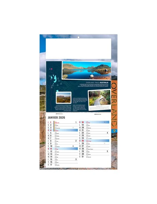 PLAQUE 1 VUE TONY 2026 - DOS CARTON - BLOC B2 - SANS MARQUAGE