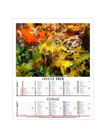 ANNA 2026 - 6 FEUILLETS - BLOC SEUL SANS MARQUAGE 2