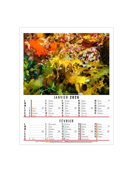 ANNA 2026 - 6 FEUILLETS - BLOC SEUL SANS MARQUAGE