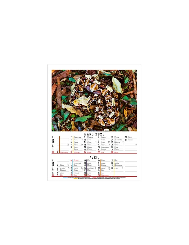 ANNA 2026 - 6 FEUILLETS - BLOC SEUL SANS MARQUAGE