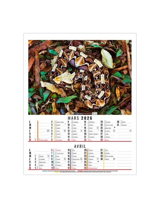 ANNA 2026 - 6 FEUILLETS - BLOC SEUL SANS MARQUAGE