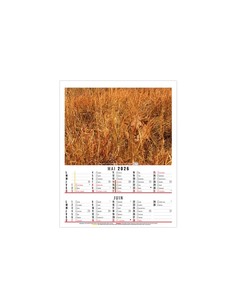 ANNA 2026 - 6 FEUILLETS - BLOC SEUL SANS MARQUAGE