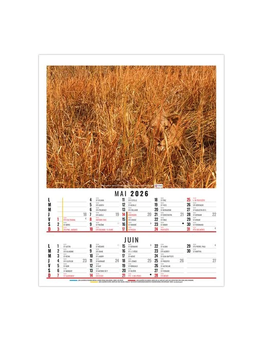 ANNA 2026 - 6 FEUILLETS - BLOC SEUL SANS MARQUAGE