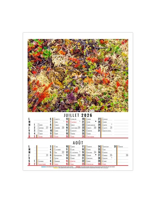 ANNA 2026 - 6 FEUILLETS - BLOC SEUL SANS MARQUAGE