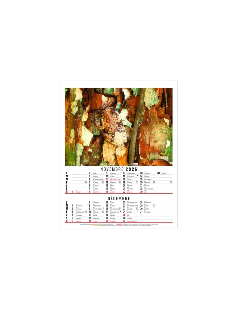 ANNA 2026 - 6 FEUILLETS - BLOC SEUL SANS MARQUAGE